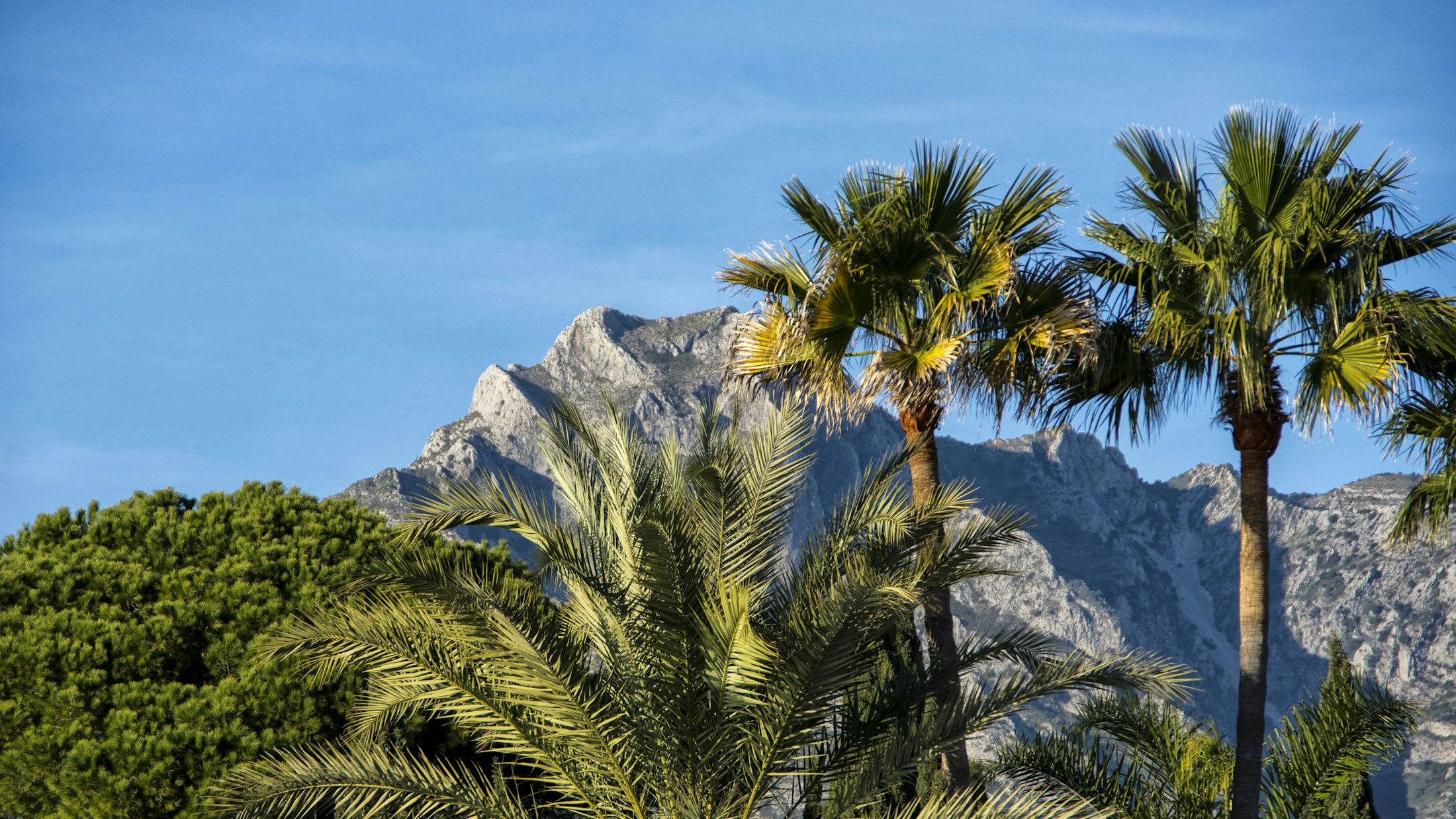 Eerste keer Costa del Sol: waar begin je? in Costa del Sol